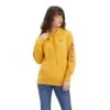 Women's Ariat REAL Classic Arm Logo Hoodie #10041636